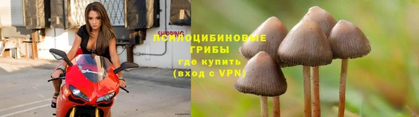 герыч Майский