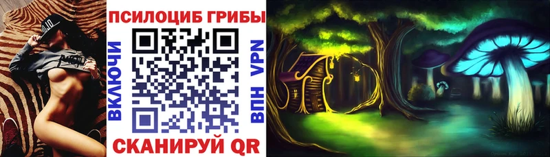 Псилоцибиновые грибы GOLDEN TEACHER  Краснозаводск 